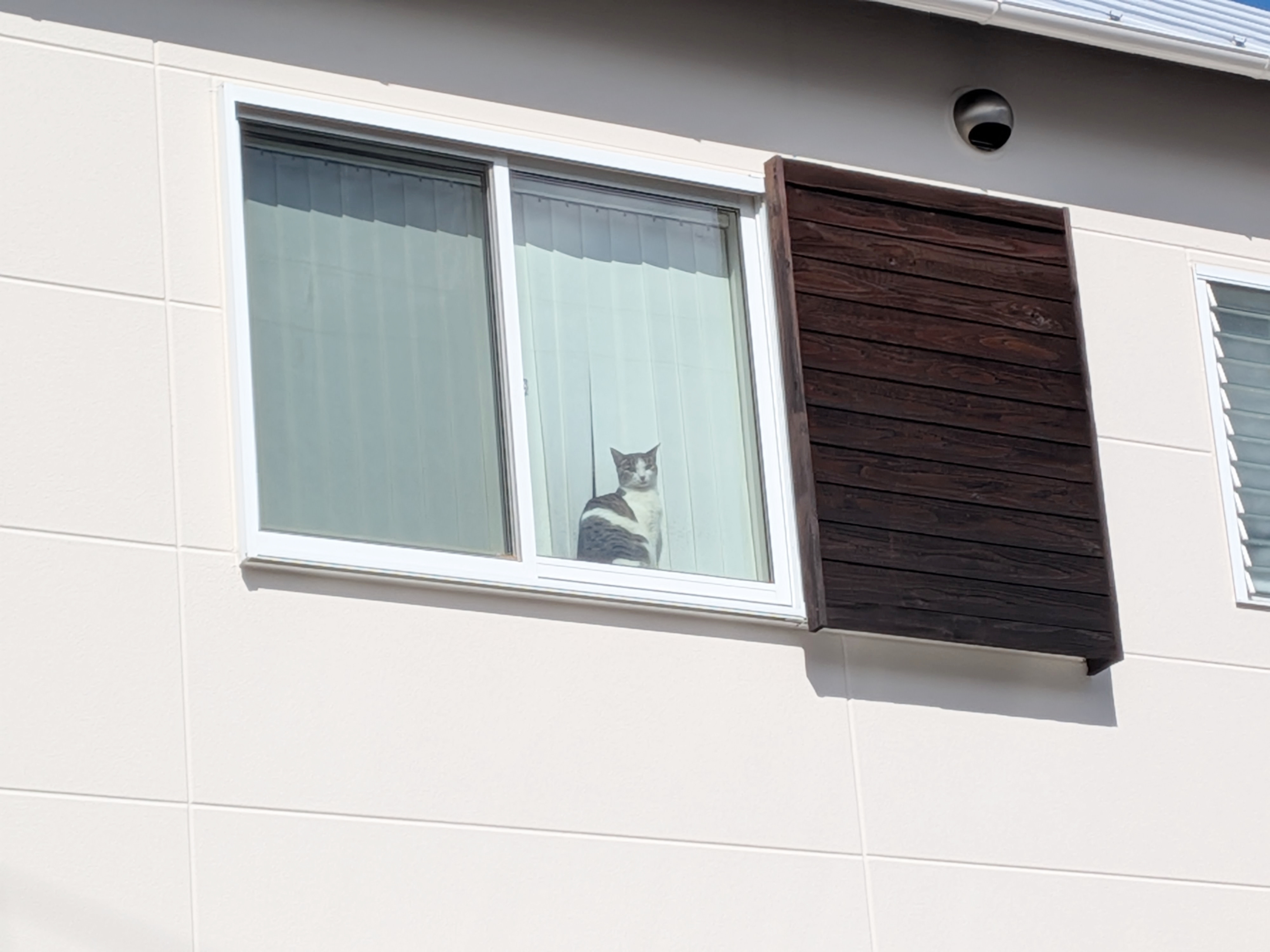 ～美しさの追求～